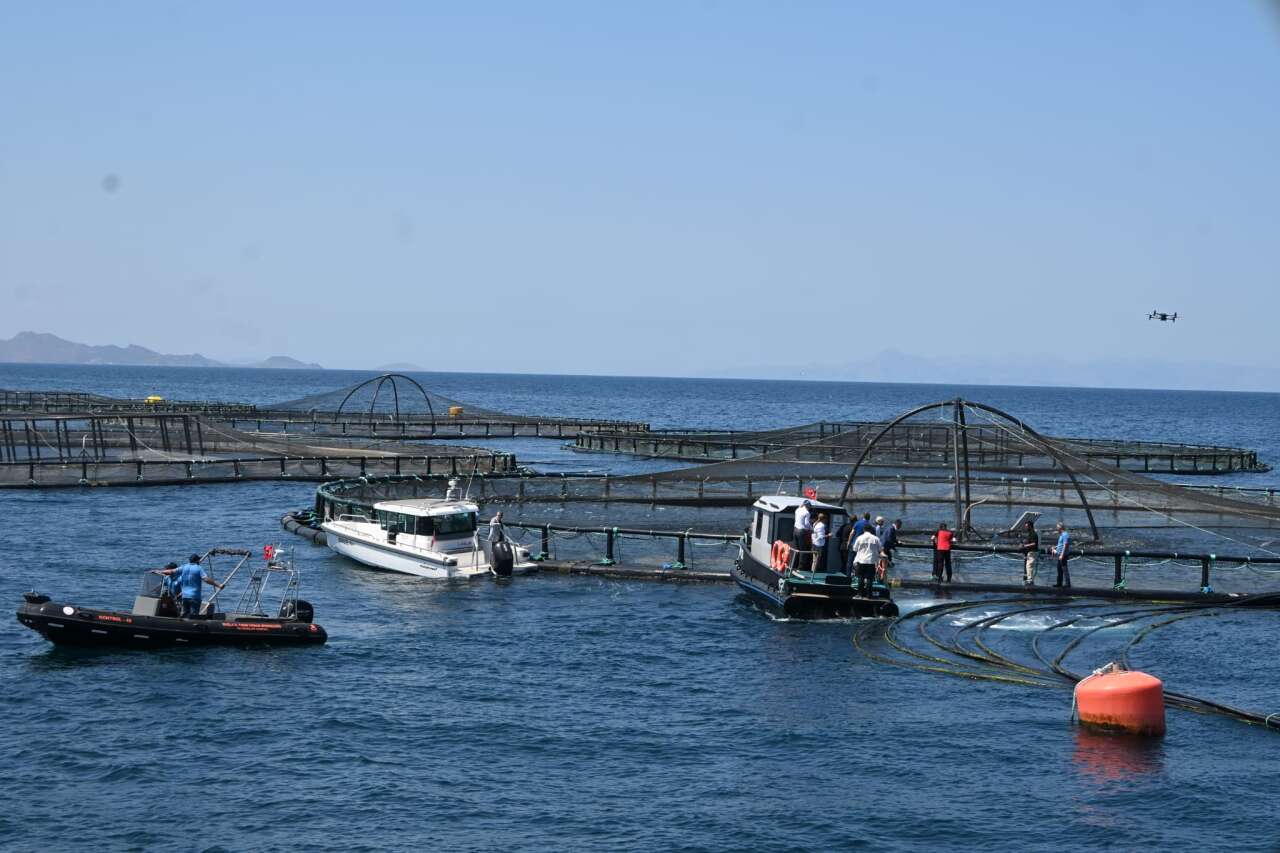 Tarım ve Orman Bakanı İbrahim Yumaklı Muğla'da: Milas'ta Su Ürünleri Tesisini İnceledi 1